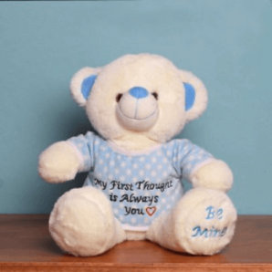 Soft Toys image